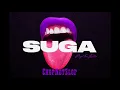 Megan Thee Stallion - Captain Hook (ChopNotSlop Remix) [Official Audio]