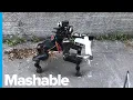 This Centaur-Like Robot Could Actually Be Helpful in Times of Disaster