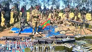 ODUU Ammee CAAMSAA 17 2025 Injifannoo WBO Harargee Lixaa Aanaa Hancar MilkeysaMedia 