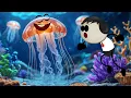 Download Lagu How does a Jellyfish Sting? | #aumsum #kids #cartoon #science