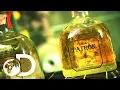 Download Lagu TEQUILA | How It's Made Download Lagu TEQUILA | How It's Made
