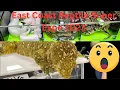 Oaks PA East Coast Reptile Super Expo 2023