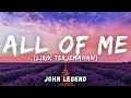John Legend - All Of Me (Lirik Terjemahan)
