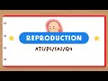 Download Lagu PSLE SCIENCE MADE SIMPLE EP238 | Reproduction | Where Does The Unborn Baby Develop? 👶🏼