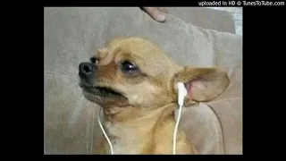 walkman i choose higher frequency 