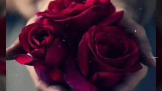 سيمفونية معتز      رائعة دندنها