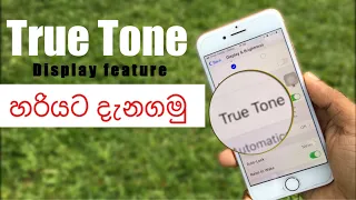 Download What is True Tone Display on Apple Devices| Should You turn it ON Explain in Sinhala MP3