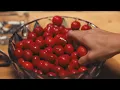 MVP - Jasiel Nuñez (Visualizer)