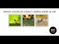 CREATE A IMAGE OVERLAY EFFECT Text Over an Image Hover Without JavaScript BK Tutorial