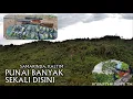 Download Lagu BERBURU PUNAI BANYAK SEKALI DISINI POIN 31 EKKOR