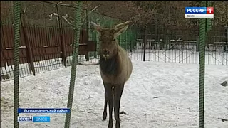 Наступившие морозы испытывают и людей, и технику на прочность