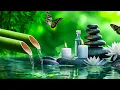 Download Lagu Ontspannende muziek verlicht stress, angst en depressie, geneest de geest, diepe slaap