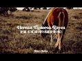 Hernán Figueroa Reyes - El Corralero // Letra