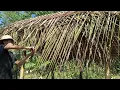 Download Lagu Building a simple hut \u0026 gardening with beginner's luck