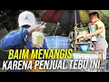 Download Lagu PENJUAL TEBU INI TIDAK PUNYA UANG UNTUK DIKASIH KE ISTRI SELAMA BERBULAN-BULAN ..