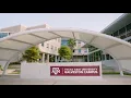 Texas A M University at Galveston Aggies By The Sea