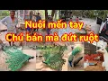 Lagu Chim công mùa 2026 đẹp xuất sắc | Thương ông chú bán chim công cho mình mà ổng buồn hiu