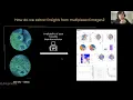 SPACEc A Streamlined Interactive Python Workflow for Multiplexed Image Processing and Analysis