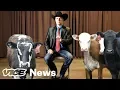 What The Hell Are Livestock Auctioneers Actually Saying