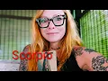 SCORPIO RELEASE WHAT IS NO LONGER SERVING YOU