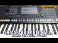 BRASS FALLS \u0026 TRUMPET FALLS YAMAHA PSR S / VOICE / RASA KORG / RASA TECHNIS
