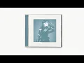 ariana grande - the boy is mine (synthpop version)