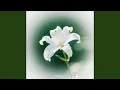 Secrets of Emerald