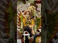 Lagu saptashrungi mata parbhani 🙏#navratri #trending #video #viral #saptashrungimata #parbhani #shorts