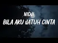Lagu NIDJI - Bila Aku Jatuh Cinta ( Lyrics Video  )