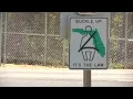 Click it or Ticket campaign police remind drivers to buckle up every trip