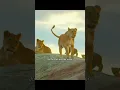 Download Lagu The landowner returned, and the baboons had to give way#animals #shorts #wildlife #baboon #video