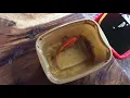 Goldfish Ulcer Treatment - how to treat goldfish ulcer