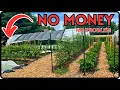 HOW I GOT 50 000 IN GRANTS TO FUND MY BACKYARD FARM