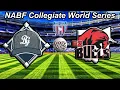 Brooklyn Grays Gibson Vs B2 Bulls Baseball NABF Collegiate World Series July 25 2026