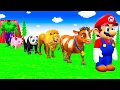 Download Lagu المنشاوي كأنه يبحر في بحر الخشوع !! إحساس يذيب الروح و تطيش منه العقول 😭