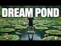 Download Lagu Big Fish in the World's Largest Koi Pond!