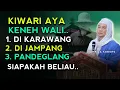 WALI ALLAH AYA ANU DI MURID AYA ANU DI MUROD | ABUYA UCI