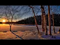 Holy Forever - Goodness Of God | Top CeCe Winans Black Gospel Songs of All Time