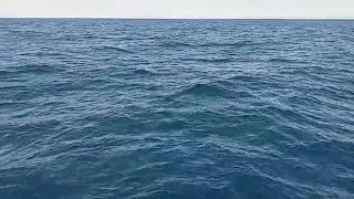 هدوء ما قبل العاصفة دندنها