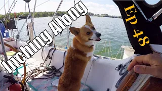 In the Great Wicomico | Sailing Wisdom Ep 48