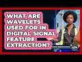 What Are Wavelets Used For In Digital Signal Feature Extraction - Electrical Engineering Essentials