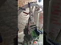 Sneak sex