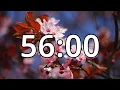 56 Minutes Timer with Music Cherry Blossom Timer