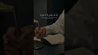 وان ليس للإنسان إلا ما سعى قرآن كريم قرآن راحة نفسية أرح قلبك بهذه التلاوة سورة النجم آية 