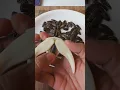 Download Lagu Amazing#shorts#SUNFLOWER SEED OPENER#kitchen hacks#Lifehacks#youtubeshorts