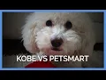 Kobe vs PetSmart