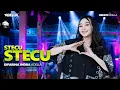 Download Lagu STECU STECU - Difarina Indra Adella - OM ADELLA