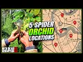 RDR2 Spider Orchid Locations - FAST EASY Guide Duchesses Other Animals Guide