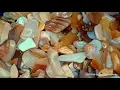 WSP Sample 0016 Beverly Beach Flagler County Florida USA