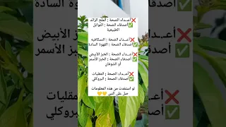 معلومات تفيد صحتك 